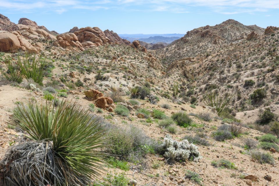 Joshua Tree National Park: Self-Driving Audio Tour - Meeting Point