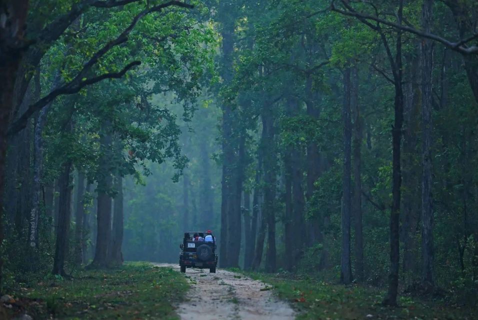 Pench National Park: Skin the Line Access to Jungle Safari - Essential Guidelines for Safari Participants