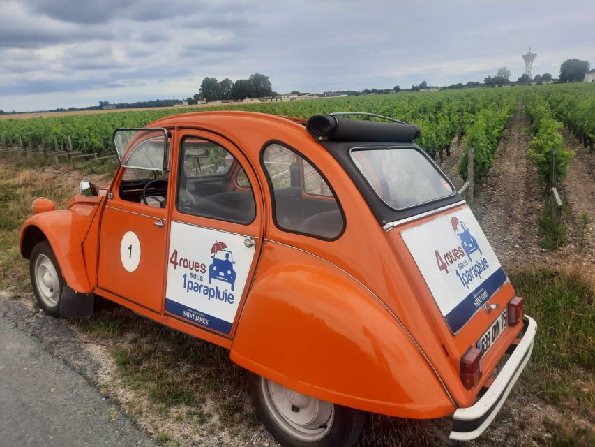 Pessac-Léognan : Citroën 2CV Private Half-Day Wine Tour - Private Group and Cancellation Policy