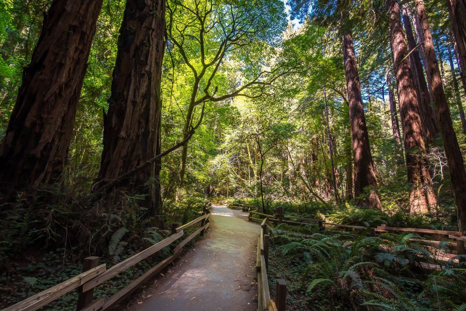 San Francisco: Muir Woods & Sausalito Tour W/Alcatraz Option - Inclusions Provided