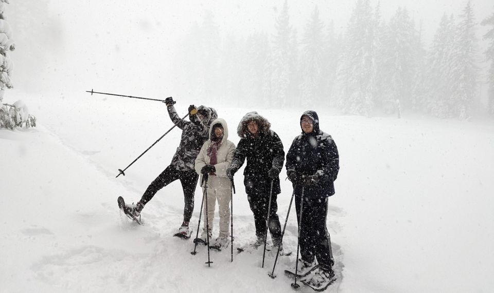 Beginner and Family Snowshoe Tour - Customer Reviews