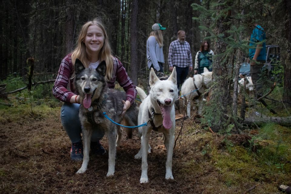 Fairbanks: Summer Mushing Cart Ride and Kennel Tour - Customer Reviews