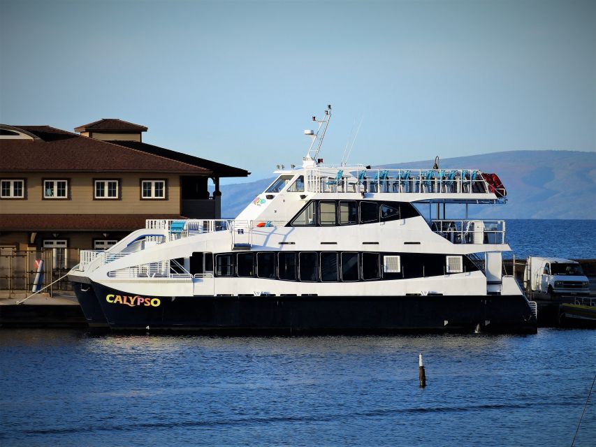 From Maalaea: Thanksgiving Dinner Cruise Aboard the Calypso - Participant Information