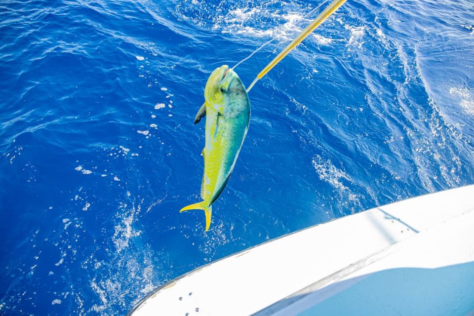 From Punta Cana: Deep Sea Fishing Tour by Boat With Drinks - Essential Items to Bring Along