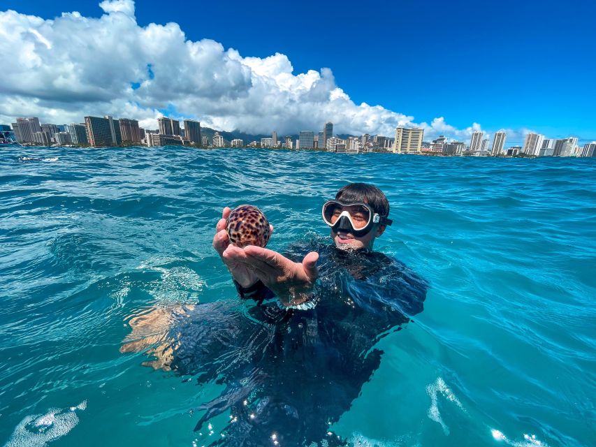 Honolulu: Turtle Canyon Snorkeling Semi-Private Boat Tour - Additional Information