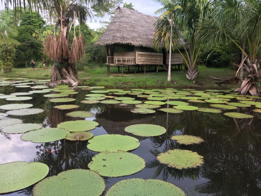 Iquitos: 4-Day Amazon Jungle Trip - Reviews