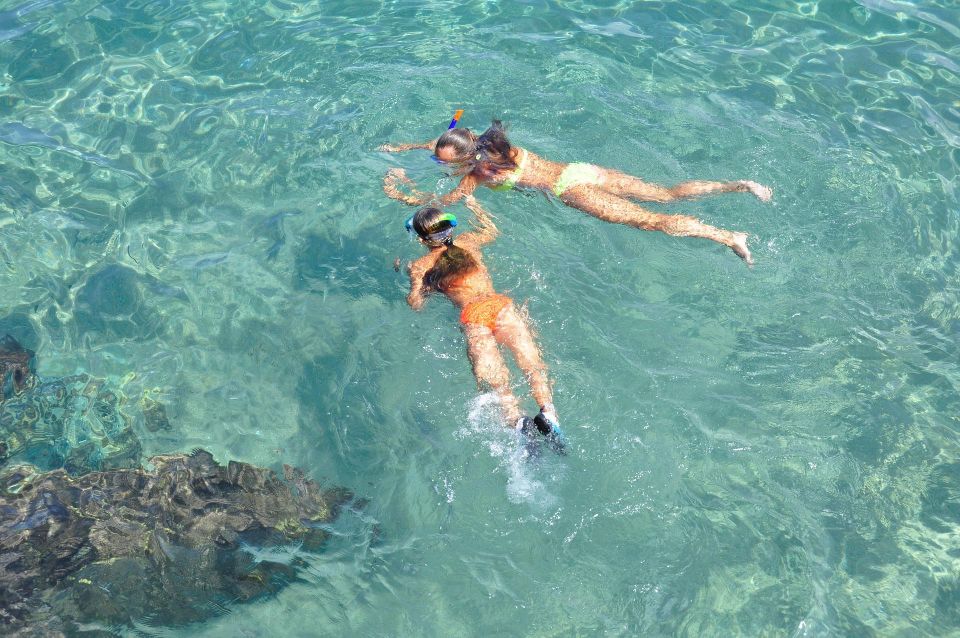 Islamorada: Snorkel Adventure & Sandbar Trip From Cheeca Spa - Highlights of the Adventure