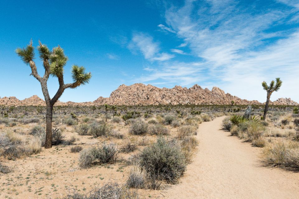 Joshua Tree National Park: Self-Driving Audio Tour - Important Information