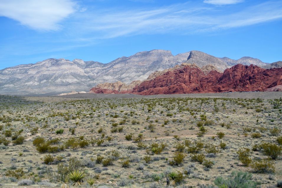 Las Vegas: Mojave, Red Rock Sign and 7 Magic Mountains Tour - Scenic Highlights and Exploration