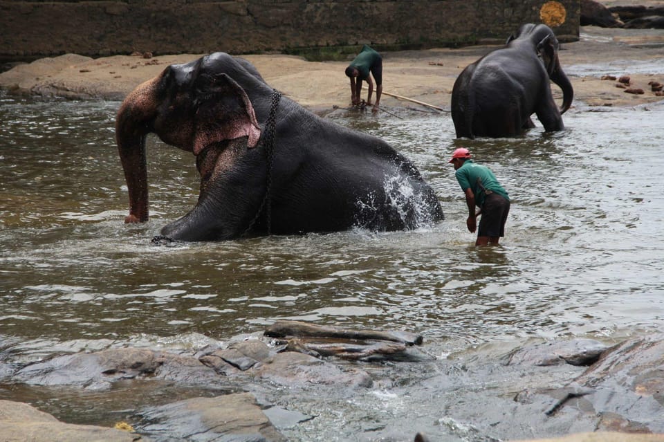 Luang Prabang Elepphant Keeper Bathe Option Kuangsi Tour - Directions and Booking Information