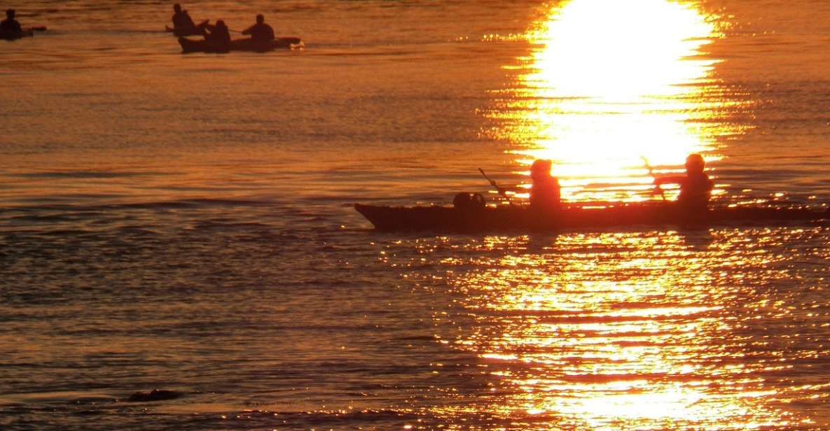 Miami: Sunset Biscayne Bay Aquatic Preserve Kayak Tour - Inclusions