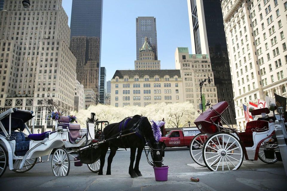 NYC:Guided Central Park Horse Carriage Ride - Meeting Point and Logistics