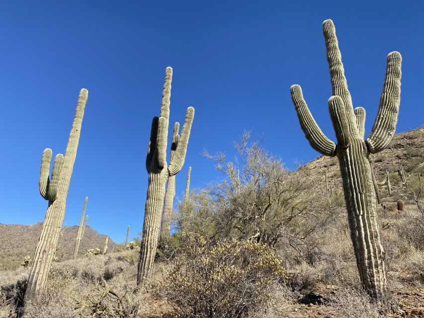 Phoenix: Sonoran Desert Guided Hiking Adventure - Expert Guided Tour Information