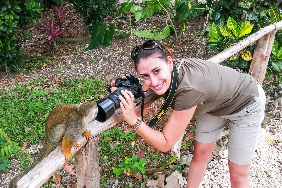 Punta Cana: Monkey Land Half-Day Safari and Plantation - Important Information