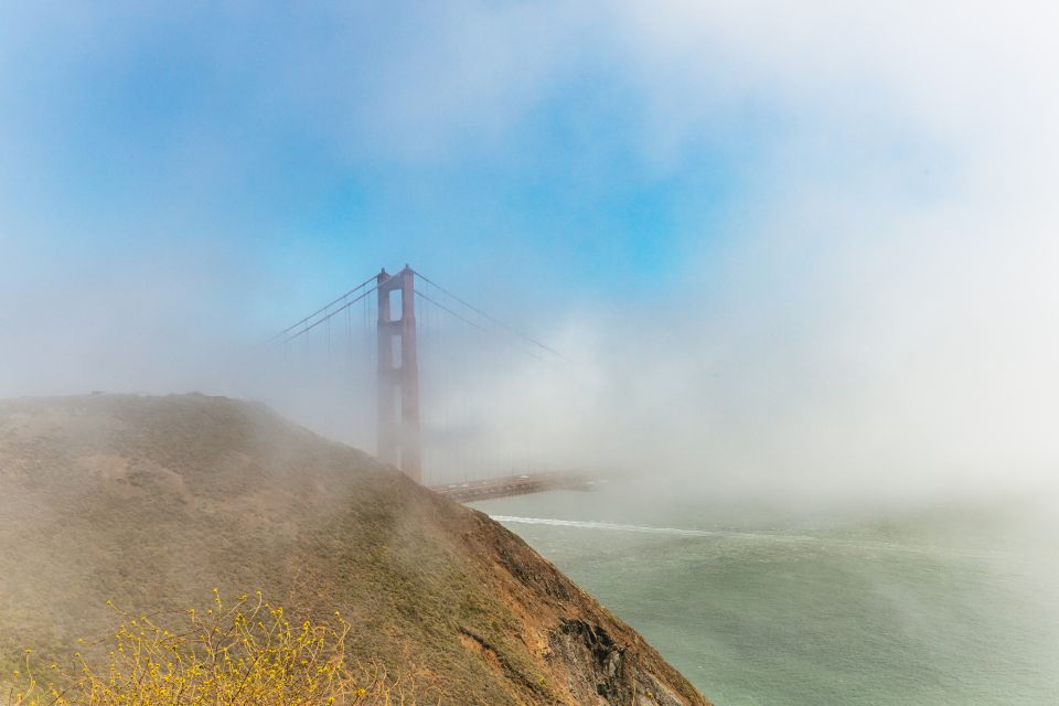 San Francisco: Muir Woods and Sausalito Small-Group Tour - Tour Highlights