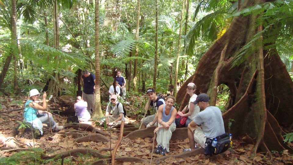 Scenic Rainforest Hike - Itinerary Details