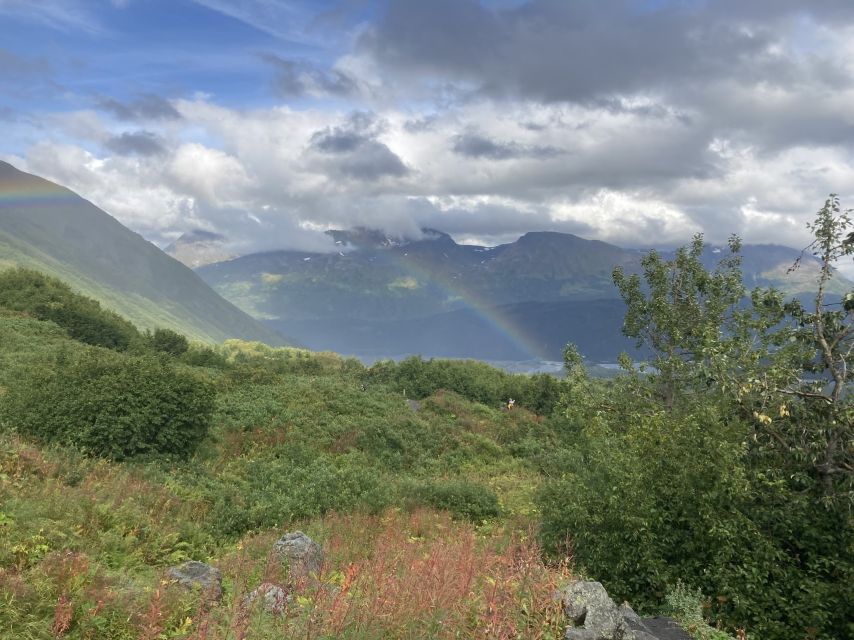 Seward: Guided Wilderness Hike With Transfer - Booking Information