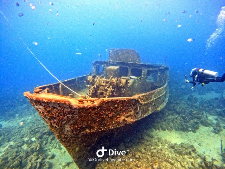 Bayahibe: Snorkeling Tour - Sea, Cotubanama Park & Cenotes - Group Size Limit