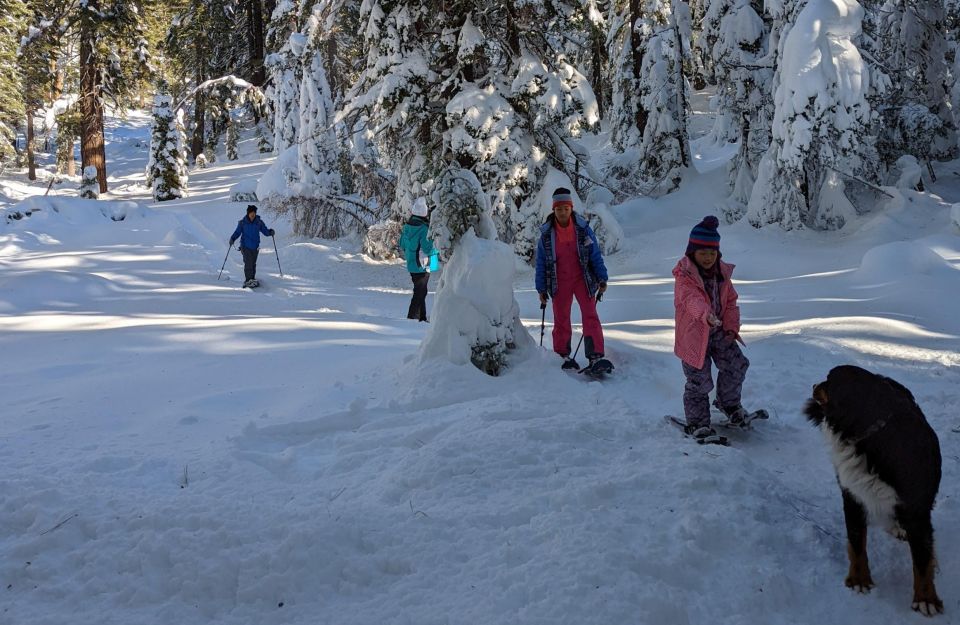 Beginner and Family Snowshoe Tour - Important Information