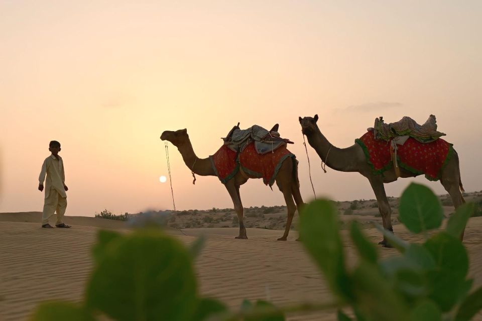 Charisma Camel Safari 2 Night 3 Day Non Touristic Area - Detailed Itinerary