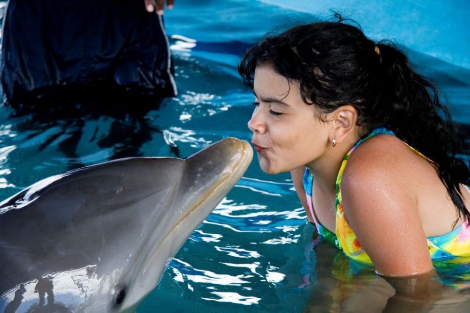 Dolphin Encounter at Ocean World, Puerto Plata - Common questions