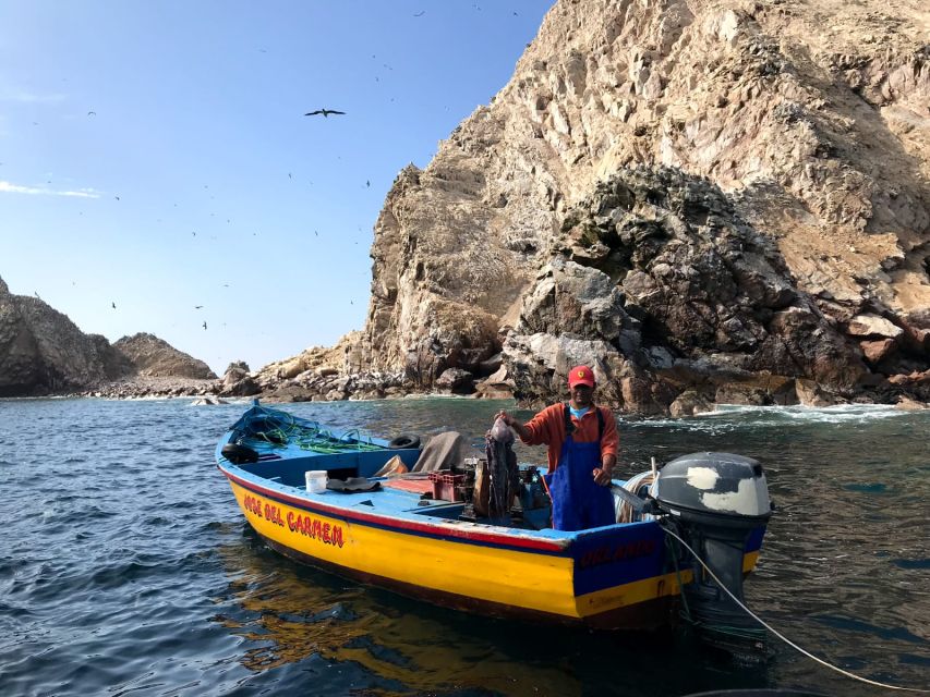 From Paracas or Pisco: Ballestas Islands Private Boat Trip - Customer Review