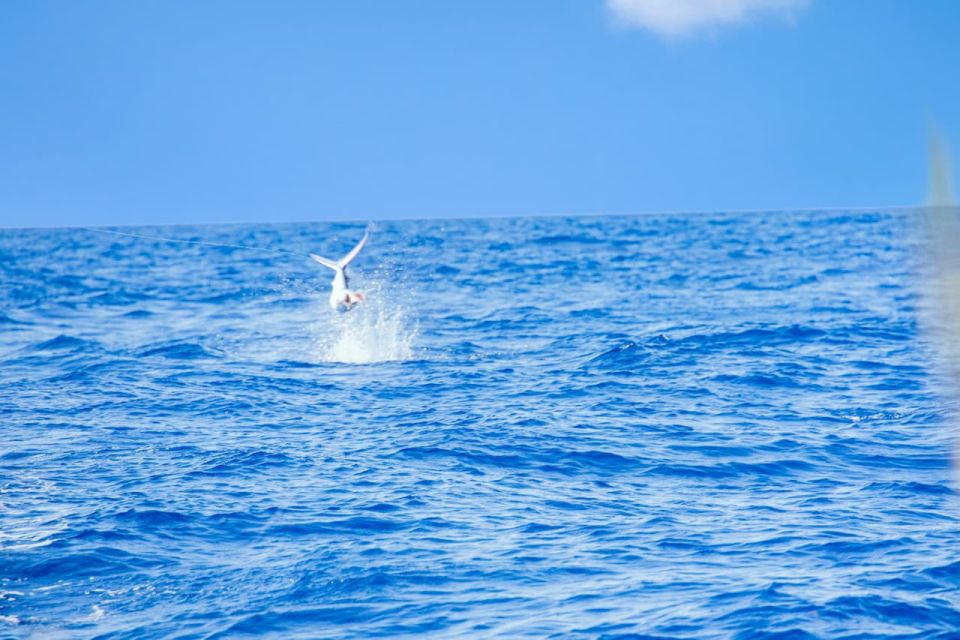 From Punta Cana: Deep Sea Fishing Tour by Boat With Drinks - Important Details and Restrictions