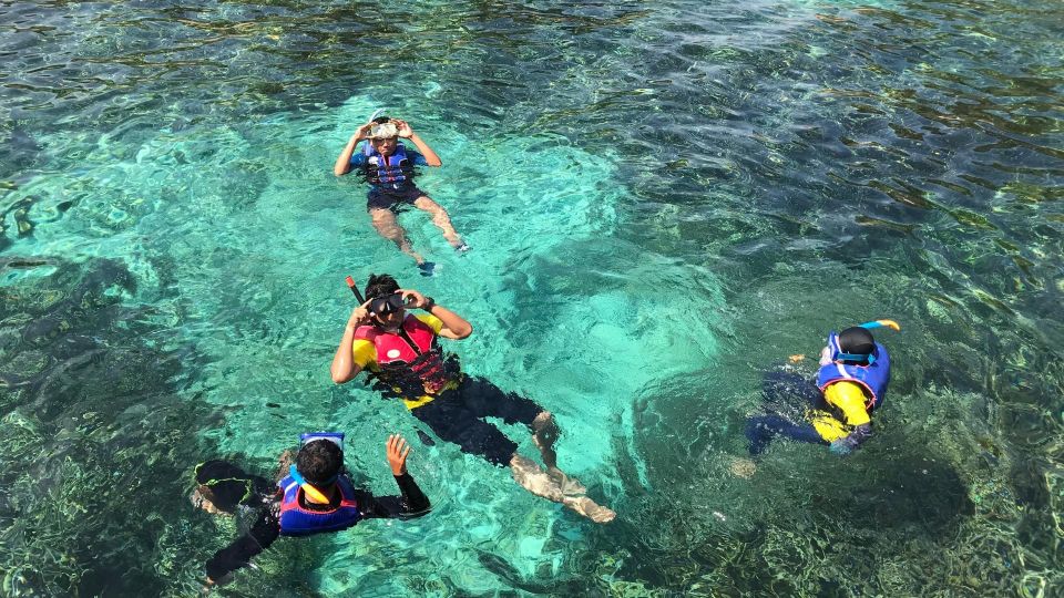 Honolulu: Hanauma Bay State Park Snorkeling Trip - Inclusions and Highlights