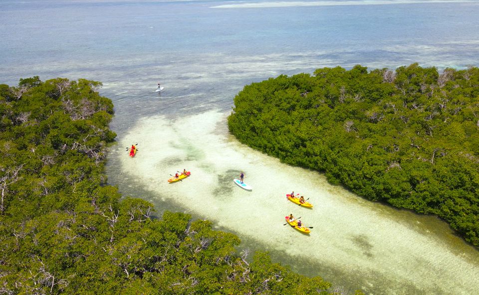 Key West: Explore the Marine Sanctuary With Kayaking & Lunch - Customer Reviews