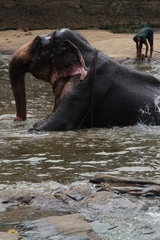 Luang Prabang Elepphant Keeper Bathe Option Kuangsi Tour - Common questions