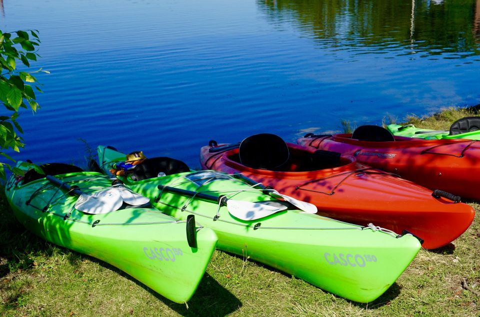 Miami: Sunset Biscayne Bay Aquatic Preserve Kayak Tour - Meeting Point & Customer Reviews