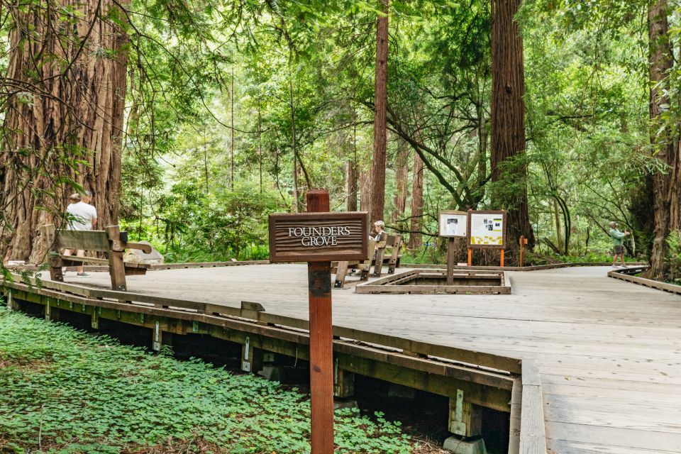 San Francisco: Muir Woods and Sausalito Small-Group Tour - Experience Details