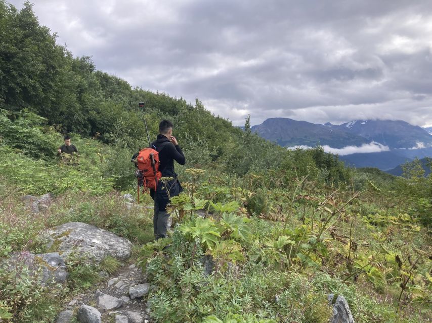 Seward: Guided Wilderness Hike With Transfer - Additional Information