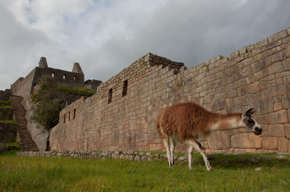 Tour Machu Picchu + Sacred Valley | Textile Experience | - Booking and Reservation