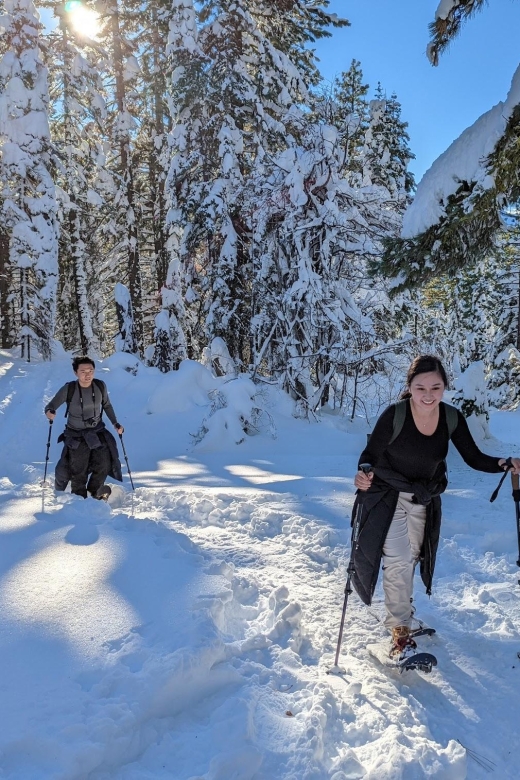 Beginner and Family Snowshoe Tour - Directions