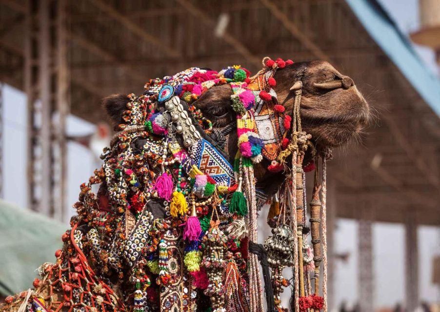 Holy Pushkar and Ajmer Trails (Guided Full Day Tour) - Sum Up