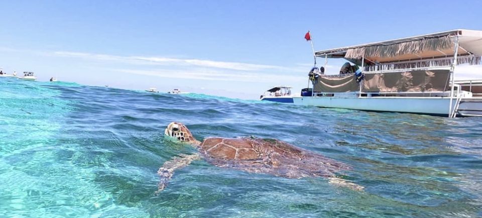 Islamorada: Snorkel Adventure & Sandbar Trip - What to Bring