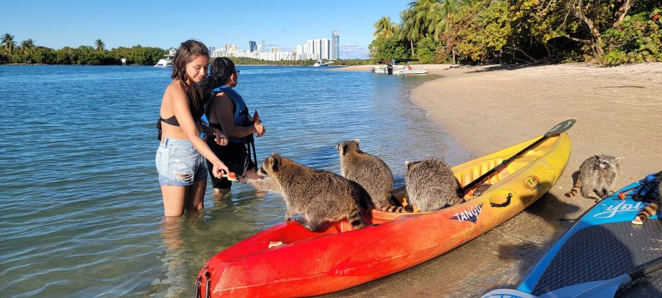 Miami: Beginner-Friendly Island Snorkeling by SUP or Kayak - Common questions