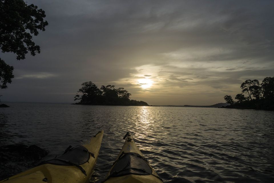 Miami: Sunset Biscayne Bay Aquatic Preserve Kayak Tour - Common questions