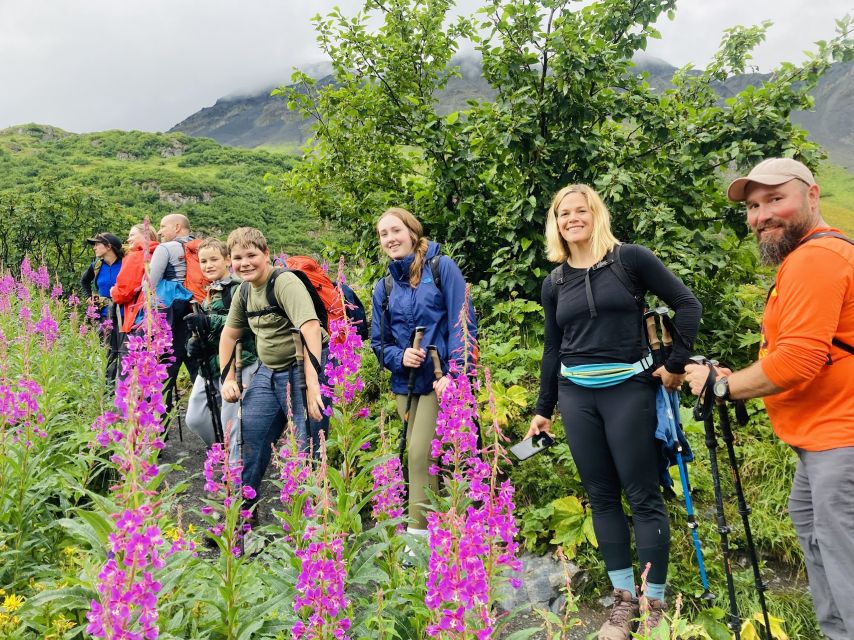 Seward: Guided Wilderness Hike With Transfer - Highlights