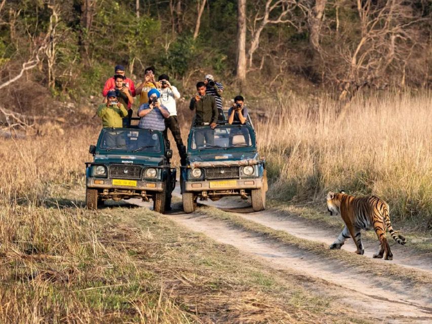 7 Days Jim Corbett Nainital Tour With Taj Mahal Tour - Key Points