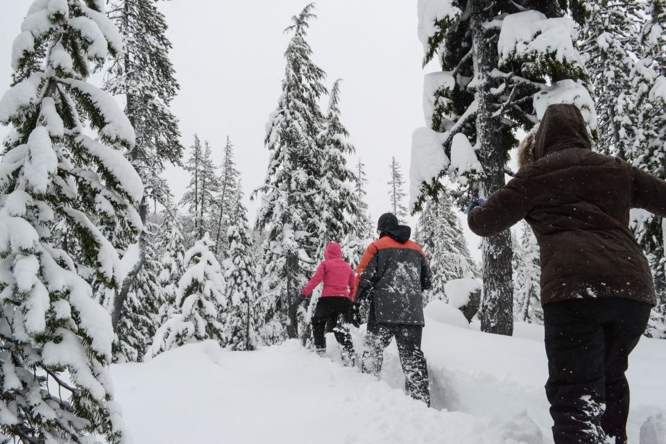 Bend: Half-Day Snowshoe Tour in the Cascade Mountain Range - Customer Feedback