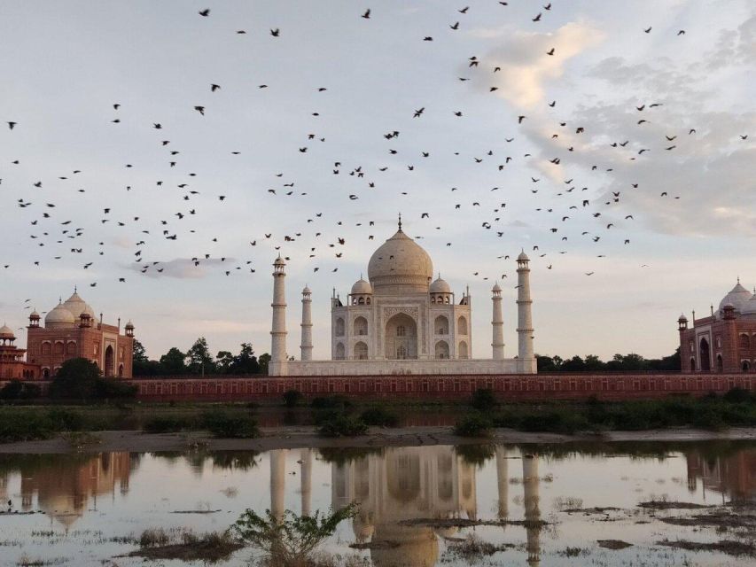 From Delhi: Sunrise Taj Mahal, Agra Fort and Baby Taj Tour - Sum Up