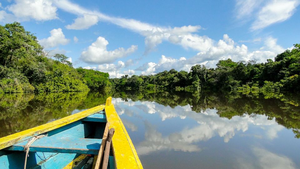 Iquitos: 4-Day Amazon Jungle Trip - Sum Up