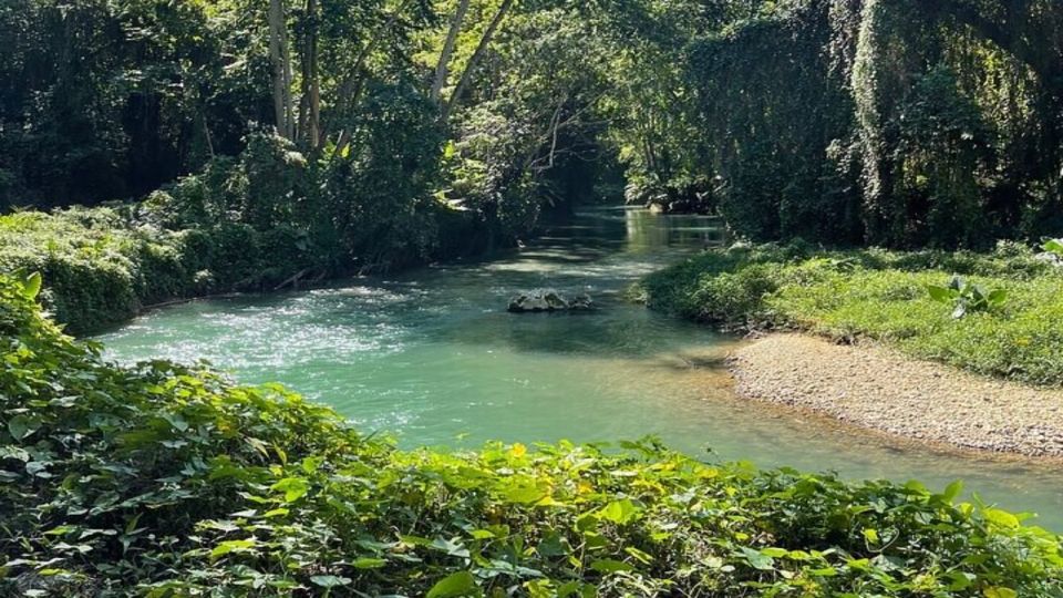 Martha Brae Bamboo Rafting Tour From Montego Bay - Sum Up