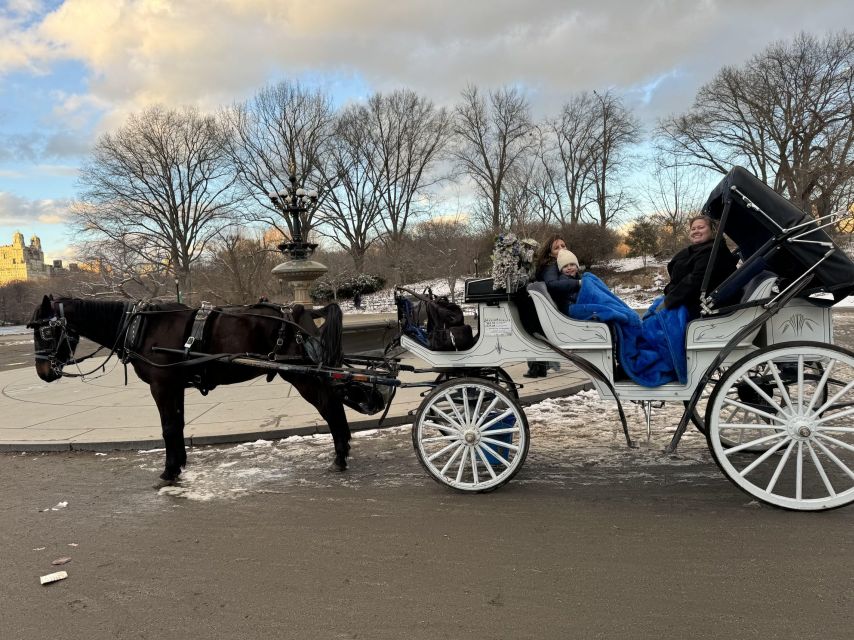 NYC:Guided Central Park Horse Carriage Ride - Common questions