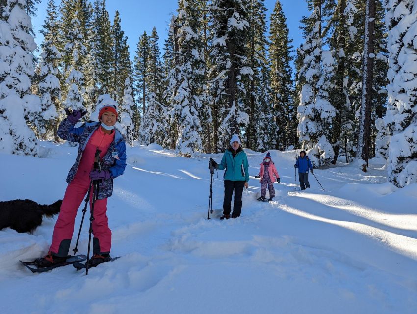 Beginner and Family Snowshoe Tour - Sum Up