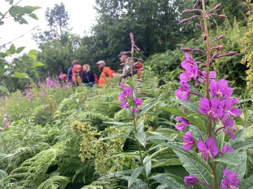 Seward: Guided Wilderness Hike With Transfer - Important Information