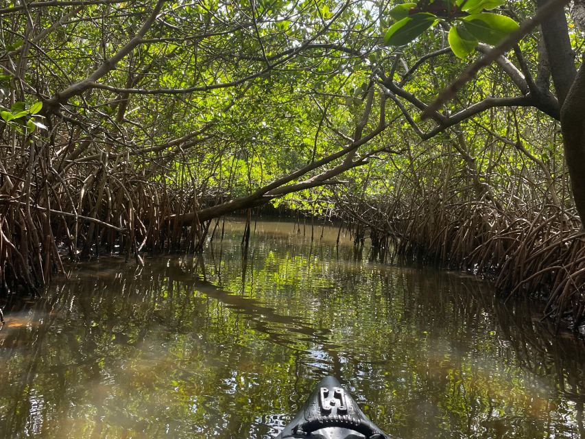 Fort Pierce: 8-Hr Jungle and Lagoon Passage to Ocean in FL - Common questions