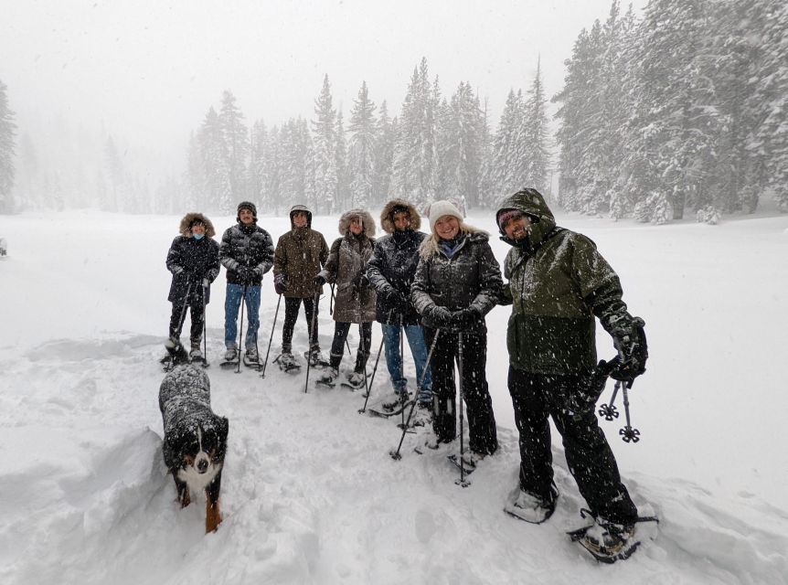 Beginner and Family Snowshoe Tour - Key Points